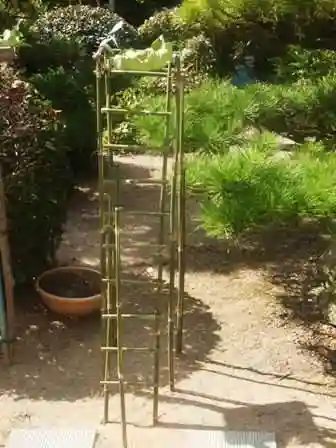 法話と天井絵の寺　観音寺のその他建物