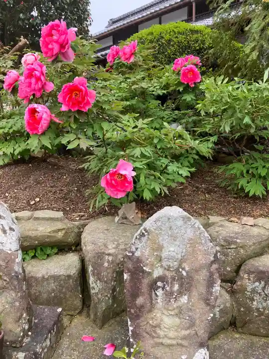 真言宗 善通寺派 薬王寺(香川県)