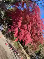 賀茂神社(宮城県)