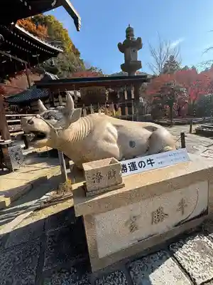 三室戸寺(京都府)