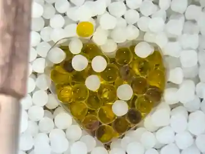 善楽寺の手水舎