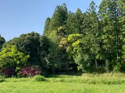 熊野神社の周辺