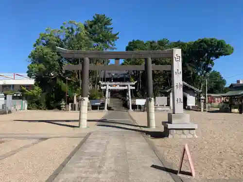 白山神社（小幡）の鳥居
