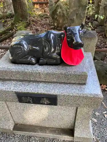 桐生天満宮(群馬県)