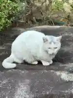 白島稲荷神社(広島県)