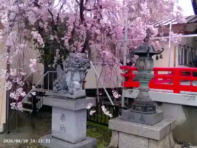 三社神社の{uncategorized: "未分類", other: "その他", undefined: "問題あり", building: "その他建物", grave: "お墓", sacred_gate: "鳥居", guardian: "狛犬", statue: "像", buddha: "仏像", history: "歴史", nature: "自然", garden: "庭園", animal: "動物", pagoda: "塔", temizu: "手水舎", mountain_gate: "山門・神門", sanctuary: "本殿・本堂", subordinate: "末社・摂社", art: "芸術", scenery: "景色", jizo: "地蔵", ema: "絵馬", goshuin: "御朱印", omikuji: "おみくじ", items: "授与品その他", amulet: "お守り", goshuincho: "御朱印帳", eats: "食事", festival: "お祭り", votive_dance: "神楽", shichigosan: "七五三参", wedding: "結婚式", experience: "体験その他", initially: "初詣", around: "周辺", anti_infection: "感染症対策"}