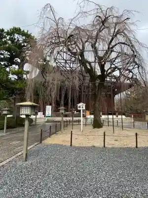 大報恩寺（千本釈迦堂）のその他建物