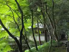 南禅院(京都府)