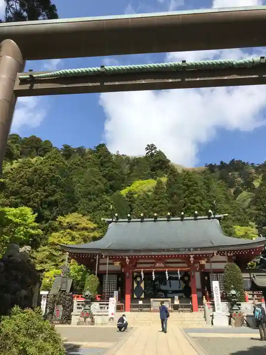 大山阿夫利神社の本殿・本堂