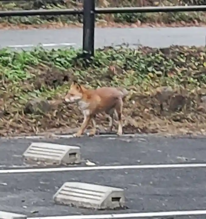 飯綱神社(長野県)