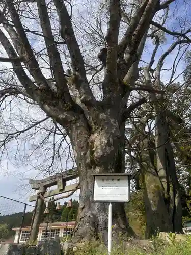 三嶋神社(山口県)