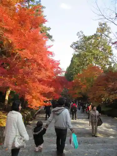 二尊院(京都府)