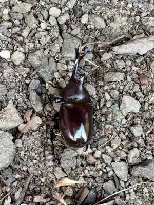 蚊里田八幡宮(長野県)