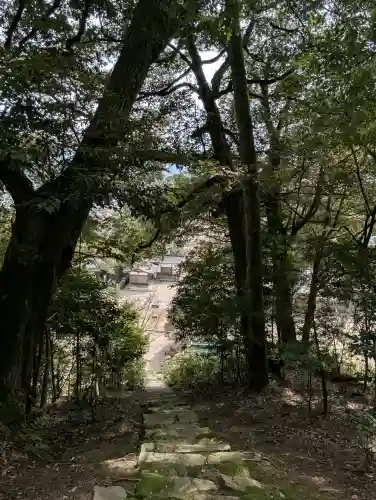 山王宮日吉神社の{uncategorized: "未分類", other: "その他", undefined: "問題あり", building: "その他建物", grave: "お墓", sacred_gate: "鳥居", guardian: "狛犬", statue: "像", buddha: "仏像", history: "歴史", nature: "自然", garden: "庭園", animal: "動物", pagoda: "塔", temizu: "手水舎", mountain_gate: "山門・神門", sanctuary: "本殿・本堂", subordinate: "末社・摂社", art: "芸術", scenery: "景色", jizo: "地蔵", ema: "絵馬", goshuin: "御朱印", omikuji: "おみくじ", items: "授与品その他", amulet: "お守り", goshuincho: "御朱印帳", eats: "食事", festival: "お祭り", votive_dance: "神楽", shichigosan: "七五三参", wedding: "結婚式", experience: "体験その他", initially: "初詣", around: "周辺", anti_infection: "感染症対策"}