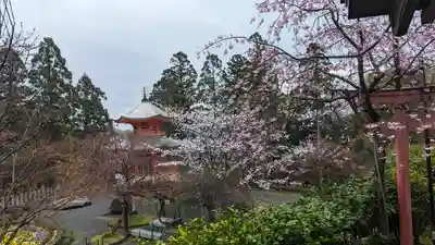 正法寺(京都府)