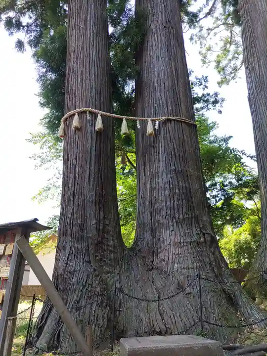 日枝神社の自然
