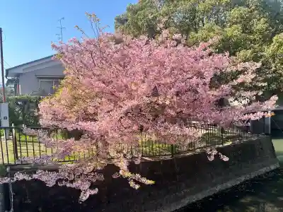心鏡寺の{uncategorized: "未分類", other: "その他", undefined: "問題あり", building: "その他建物", grave: "お墓", sacred_gate: "鳥居", guardian: "狛犬", statue: "像", buddha: "仏像", history: "歴史", nature: "自然", garden: "庭園", animal: "動物", pagoda: "塔", temizu: "手水舎", mountain_gate: "山門・神門", sanctuary: "本殿・本堂", subordinate: "末社・摂社", art: "芸術", scenery: "景色", jizo: "地蔵", ema: "絵馬", goshuin: "御朱印", omikuji: "おみくじ", items: "授与品その他", amulet: "お守り", goshuincho: "御朱印帳", eats: "食事", festival: "お祭り", votive_dance: "神楽", shichigosan: "七五三参", wedding: "結婚式", experience: "体験その他", initially: "初詣", around: "周辺", anti_infection: "感染症対策"}