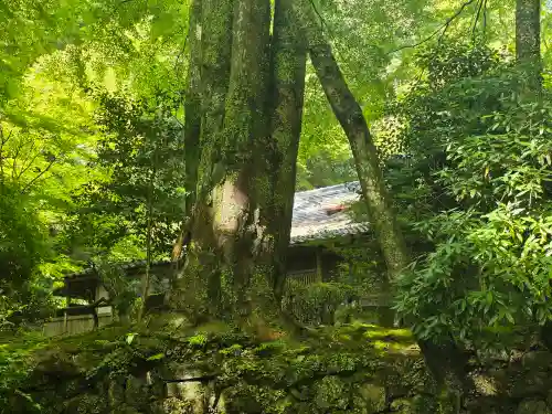 密蔵院(滋賀県)