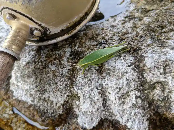 舘山寺(静岡県)