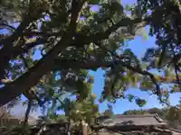 事任八幡宮の自然