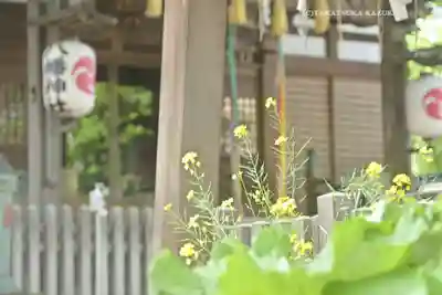 滝野川八幡神社(東京都)