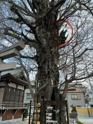 飛木稲荷神社(東京都)