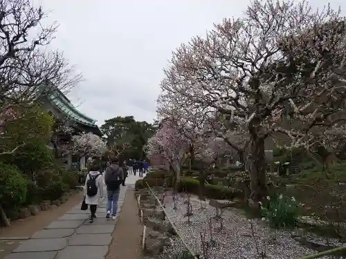 長谷寺のその他建物