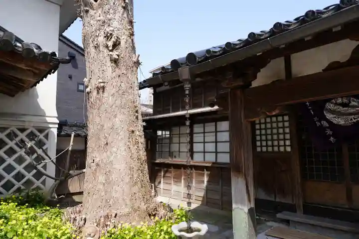 円長寺(石川県)