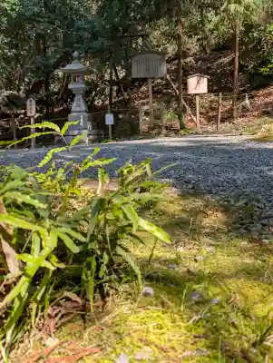 出雲大神宮の{uncategorized: "未分類", other: "その他", undefined: "問題あり", building: "その他建物", grave: "お墓", sacred_gate: "鳥居", guardian: "狛犬", statue: "像", buddha: "仏像", history: "歴史", nature: "自然", garden: "庭園", animal: "動物", pagoda: "塔", temizu: "手水舎", mountain_gate: "山門・神門", sanctuary: "本殿・本堂", subordinate: "末社・摂社", art: "芸術", scenery: "景色", jizo: "地蔵", ema: "絵馬", goshuin: "御朱印", omikuji: "おみくじ", items: "授与品その他", amulet: "お守り", goshuincho: "御朱印帳", eats: "食事", festival: "お祭り", votive_dance: "神楽", shichigosan: "七五三参", wedding: "結婚式", experience: "体験その他", initially: "初詣", around: "周辺", anti_infection: "感染症対策"}