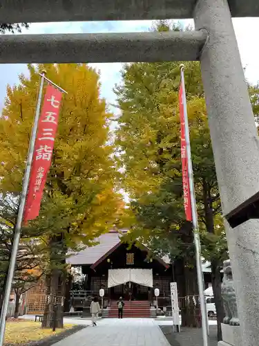 北海道神宮頓宮の七五三参