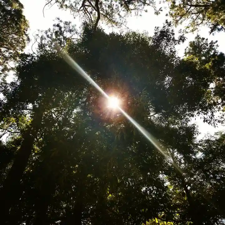 鹿島神宮の自然