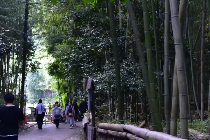 野宮神社の周辺