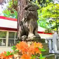 彌彦神社 (伊夜日子神社)の狛犬