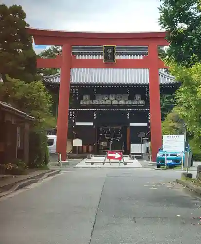 梅宮大社の鳥居