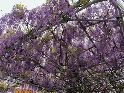 第六天神社(神奈川県)