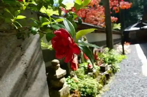 高野山金剛峯寺奥の院の建物その他