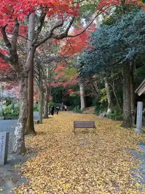 鎮國寺(福岡県)