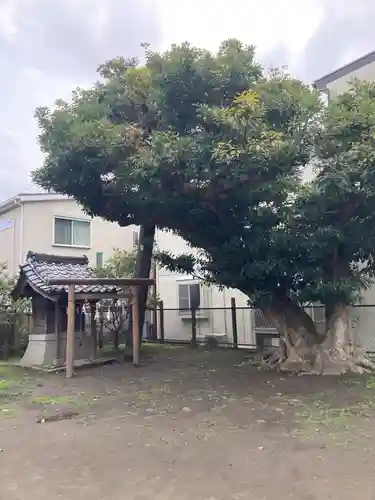 巽神社の末社