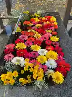 長沼八幡宮(栃木県)