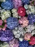 無量寿院宝禅寺(群馬県)