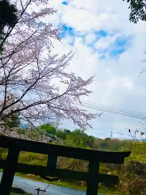 伊保田神社(茨城県)