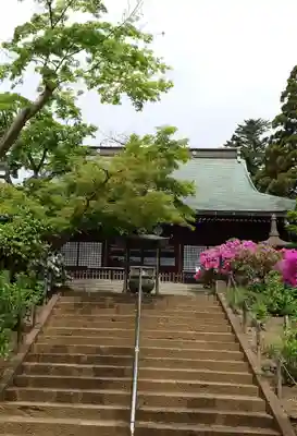 本土寺(千葉県)
