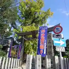 白山神社の鳥居