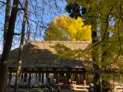 新宮熊野神社(福島県)