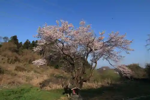 宇賀神さまの景色