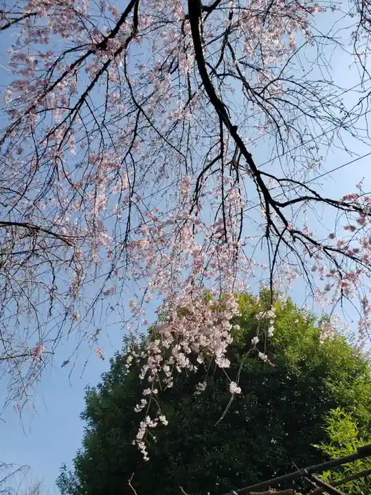 下高井戸八幡神社(東京都)