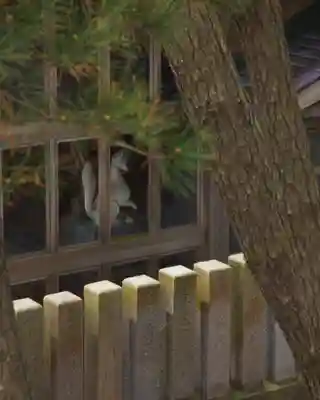 高山稲荷神社(青森県)