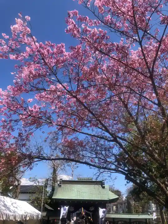 普光明寺(埼玉県)