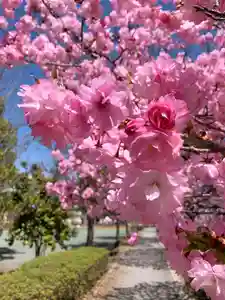 滑川神社 - 仕事と子どもの守り神(福島県)(2026年04月12日(日) 09時03分53秒投稿)