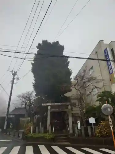 鹿島神宮(茨城県)